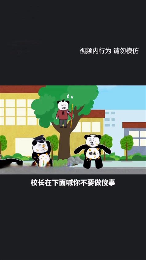 大熊猫基地出生了23只宝宝样子十分呆萌_腾讯视频