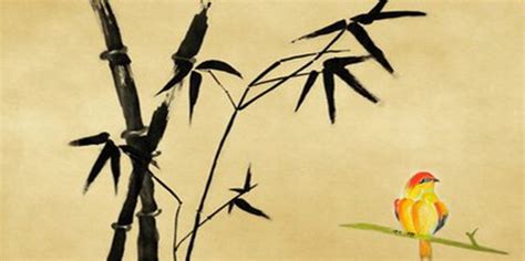 竹子的象征意义及其与人生的启示（竹子——坚韧不拔）_花植网