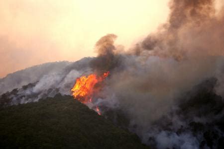 昆明城郊山火明火已扑灭 起火原因仍在调查