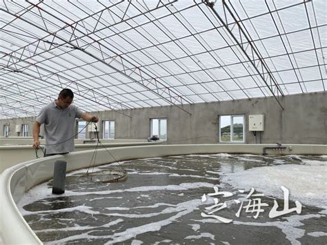 环县：藏香猪养殖拓开致富新路 - 庆阳网