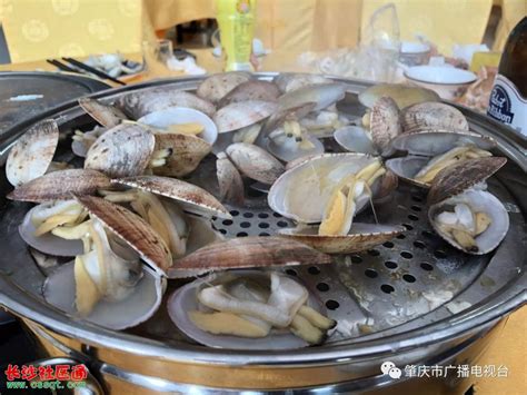 盐城水族批发市场在哪里进货便宜呢（盐城水族批发市场在哪里进货便宜呢多少钱） - 观赏鱼 - 广州观赏鱼批发市场