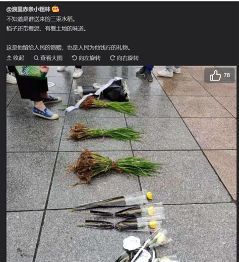 成都市民排队悼念袁隆平，“我乖乖把饭吃光啦”|长沙市|成都市_新浪新闻