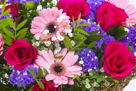 一束五颜六色的鲜花有选择的焦点高清图片下载-正版图片505647370-摄图网