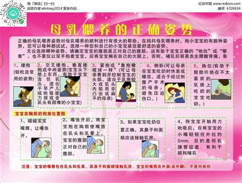 母乳喂养的正确姿势知识宣传展板CDR素材免费下载_红动中国