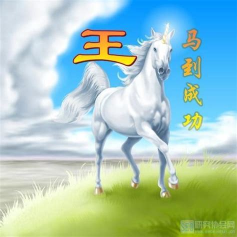 非主流马头像