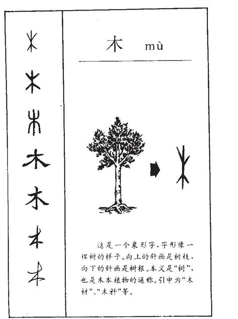 五行里面属木的字有哪些_起名_若朴堂文化