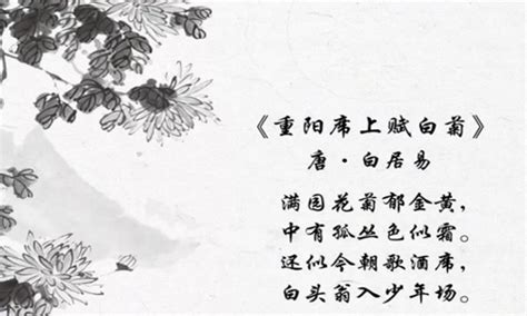 重阳节诗句 表达怀念旧友思念之情的诗词