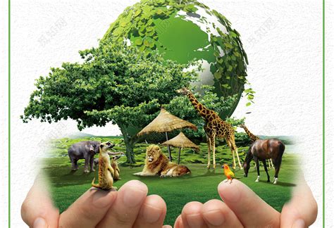 保护野生动物保护地球公益宣传动物园海报图片下载 - 觅知网