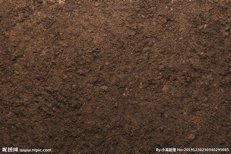 黑色土壤PNG图片素材下载_图片编号8994698-PNG素材网