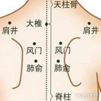 人体后背位置图图片