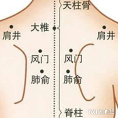 【图】观察人体后背穴位图 你对其了解了多少呢(2)_人体后背穴位图_伊秀美体网|yxlady.com