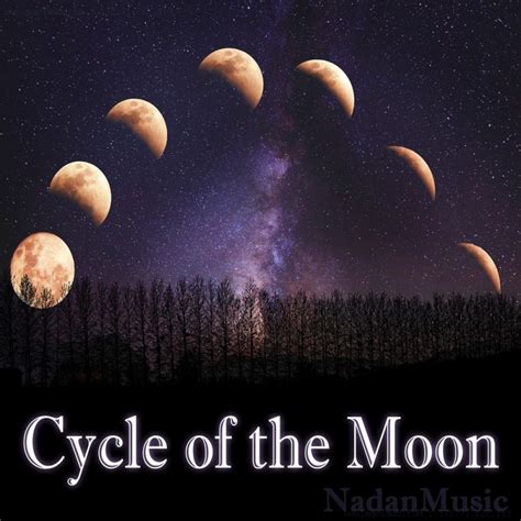 나단 - 달빛바다 : Cycle of the Moon [ep] (2020) :: maniadb.com