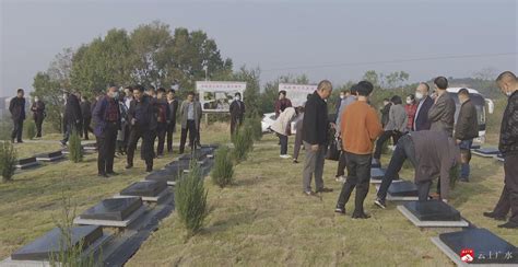 广西柳州城市公益性公墓投入使用！单人墓6800元 这些人可申请_社会_长沙社区通