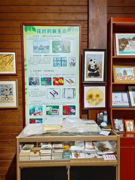 一起去打卡吧！南宁市青秀山菊花展进入盛放期_手机新浪网