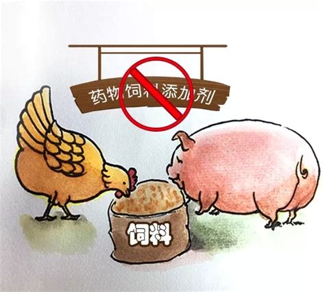 禁止交易拒绝食用保护野生濒危动物海报图片下载_红动中国