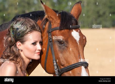 Portrait of Attractive Woman Riding Black Hanoverian Stallion Horse ...
