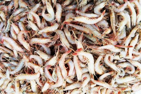 菜市场海鲜鲜活鱼虾类只有小明虾 海鲜价格涨一成 大沙丁15元