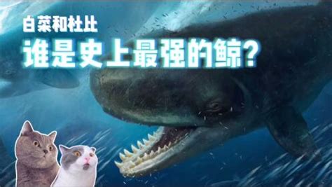 最凶残5种史前巨兽，利维坦鲸VS巨齿鲨谁更强？远古顶级掠食者_腾讯视频}