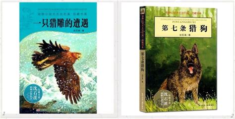 上海文联-“动物小说大王”沈石溪走进校园讲述《生命的赞歌》