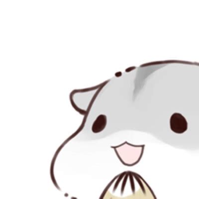 仓鼠温柔头像女生可爱