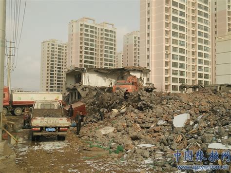 村庄拆迁工厂偷倒 300年古香樟树遭遇垃圾围城-偷倒,垃圾-义乌新闻