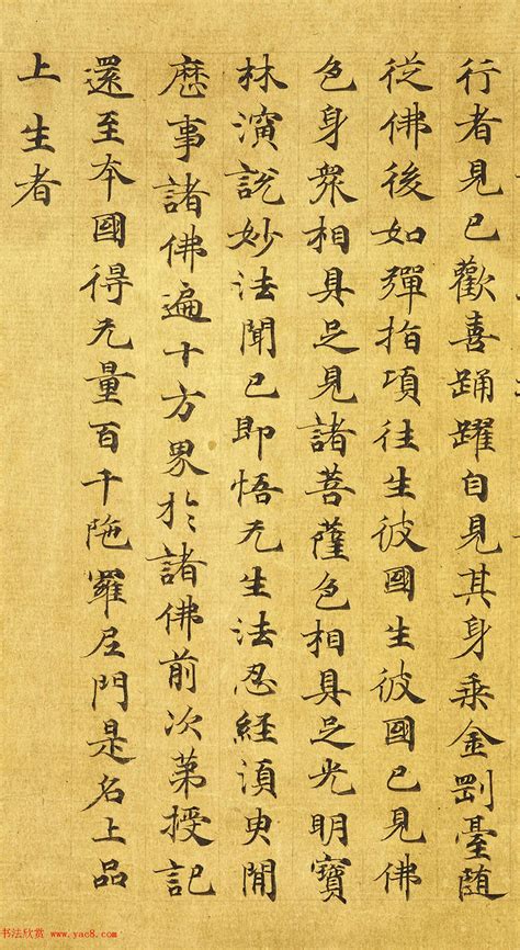唐代写经手稿《无量寿观经》 - 第3页 敦煌书法书法欣赏
