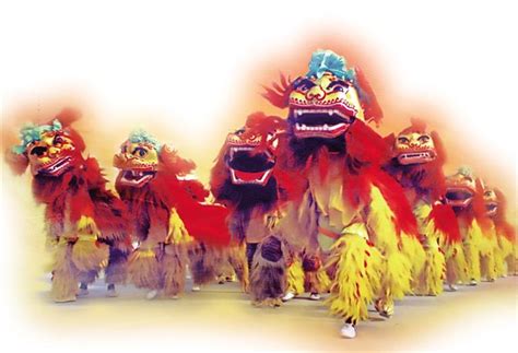 “中华北狮王” 舞出精气神