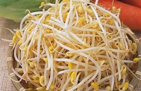 豆芽生长过程图片