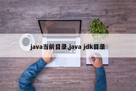 2020 Java调查报告：中国开发者使用比例最高，Java 8最受欢迎-轻识