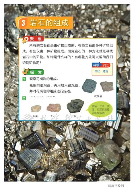 教科版（2017秋）四年级科学下册3.4《制作岩石和矿物标本》课件（16张PPT)-21世纪教育网