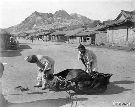 百年前朝鲜老照片。 - 堆糖，美图壁纸兴趣社区