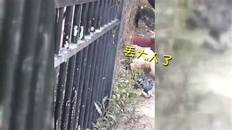 湖南一女教师被害 三名00后嫌疑人被抓获_新浪图片