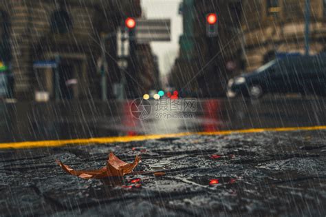雨景图片伤感,雨景图片,雨景人图片_大山谷图库