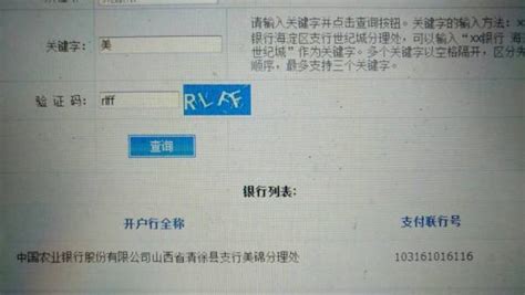 中国农业银行支行查询_95599农业银行短信查询开户行 - 随意云