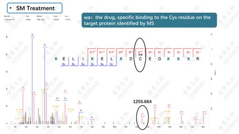 DrugVQA | 用视觉问答技术预测药物蛋白质相互作用 - 知乎