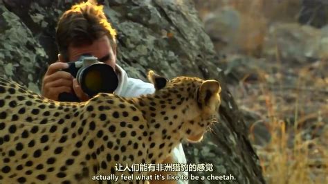 摄影师赢得了猎豹绝对信任，人与猎豹的感情让人动容！_腾讯视频