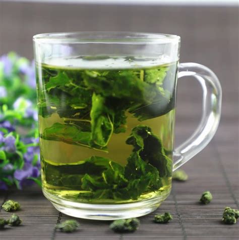 女性喝桑叶茶的好处和坏处_保健茶_绿茶说