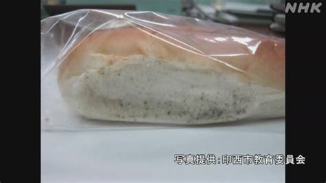 日本中学午餐面包出现"霉菌" 近600个"发霉包"供给8所学校