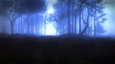 在迷雾中穿过神秘黑暗的古老森林。高清摄影大图-千库网