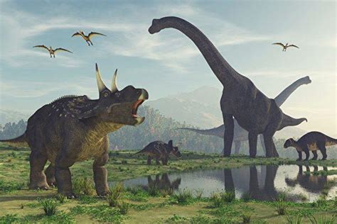 始三角龙_恐龙种类_恐龙品种分类l型名称大全恐龙品类图片大全名字