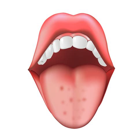 常见的四种舌象－齿痕舌-别有病 Byb.cn-纯自然疗法 攻克亚健康
