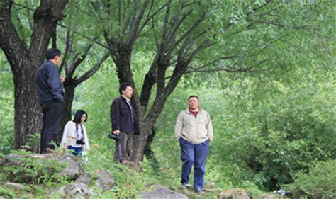 深圳茅洲河碧道·光明段生态修复试点 | EADG泛亚国际 - 景观网
