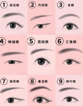 瑞凤眼图片