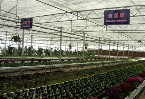 崇明区与上海海洋大学共商全国农业科技现代化先行县推进工作