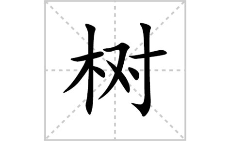 "树" 的详细解释 汉语字典