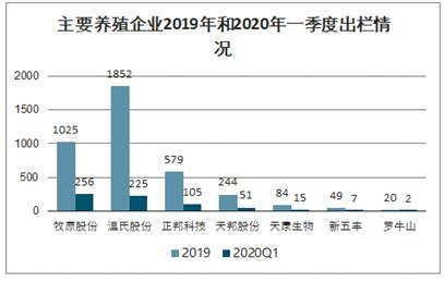 2021-2025年中国养猪业深度调研及投资前景预测报告 - 锐观网