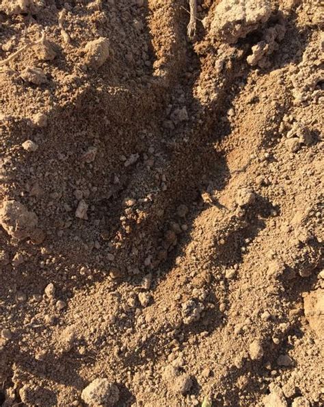 黄泥土“硬邦邦”？3个小方法，彻底不板结，肥的流油，养啥旺啥|田园|土壤|养花_新浪新闻