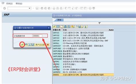 SAP--操作界面基本设置_sap怎么将常用的页面设置-CSDN博客