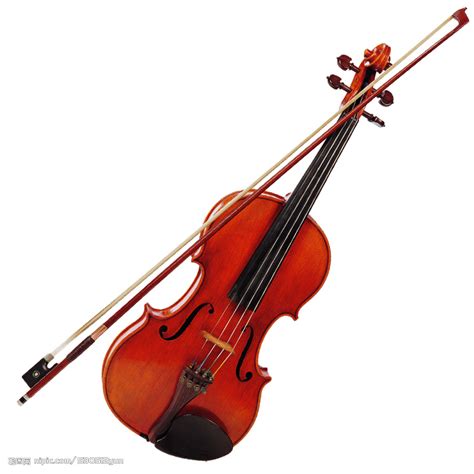 小提琴 音乐 艺术 阴影 字符串 打击乐 音乐会 仪器 播放图片免费下载 - 觅知网