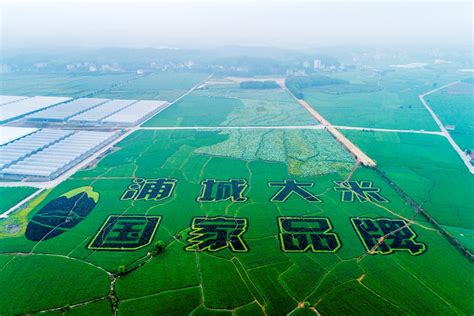 福建南平：打造“武夷山水”区域公用品牌 实现生态产品溢价增值